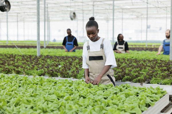 Quelles sont les méthodes non pharmacologiques pour gérer la douleur neuropathique ?