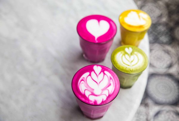 les bienfaits des aliments riches en antioxydants pour lutter contre le vieillissement prématuré