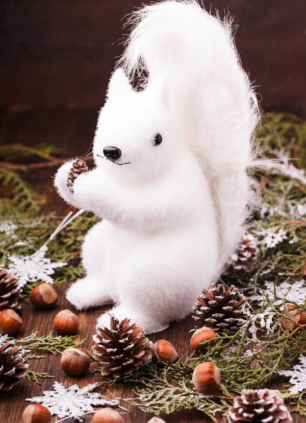 Iso 100% whey zero d'eric favre - développez vos muscles